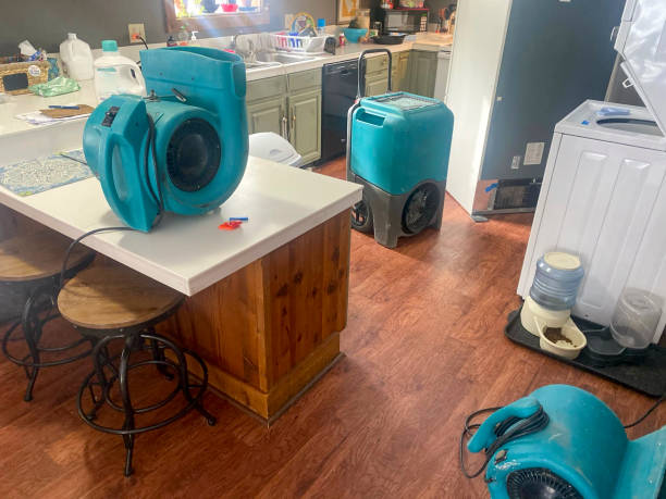 Reliable NC Water damage restoration Solutions