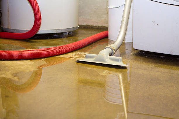 Best Professional water damage repair  in Banner Elk, NC