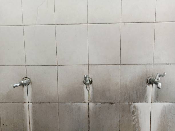 Best Water damage restoration cost  in Banner Elk, NC