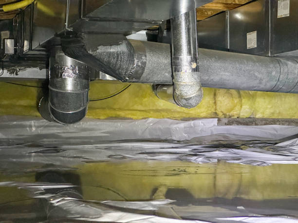 Best Basement water damage restoration  in Banner Elk, NC