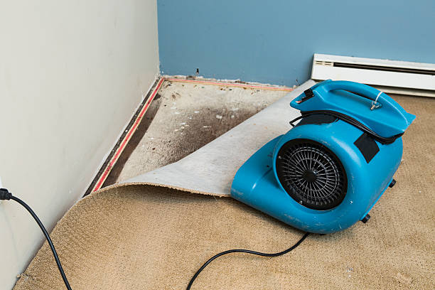 Best Water damage restoration experts  in Banner Elk, NC